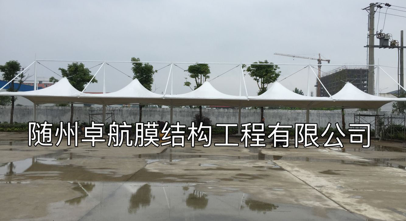 金銀豐集團(tuán)